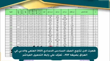 ظهرت الآن نتائج الصف السادس الإعدادي 2025 العلمي والأدبي في العراق بصيغة PDF.. تعرّف على رابط التحميل المباشر
